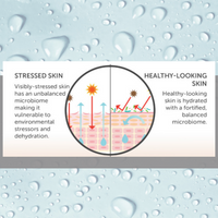 Microbiome Trio of Facial Wash, Facial Cream and Concentrate
