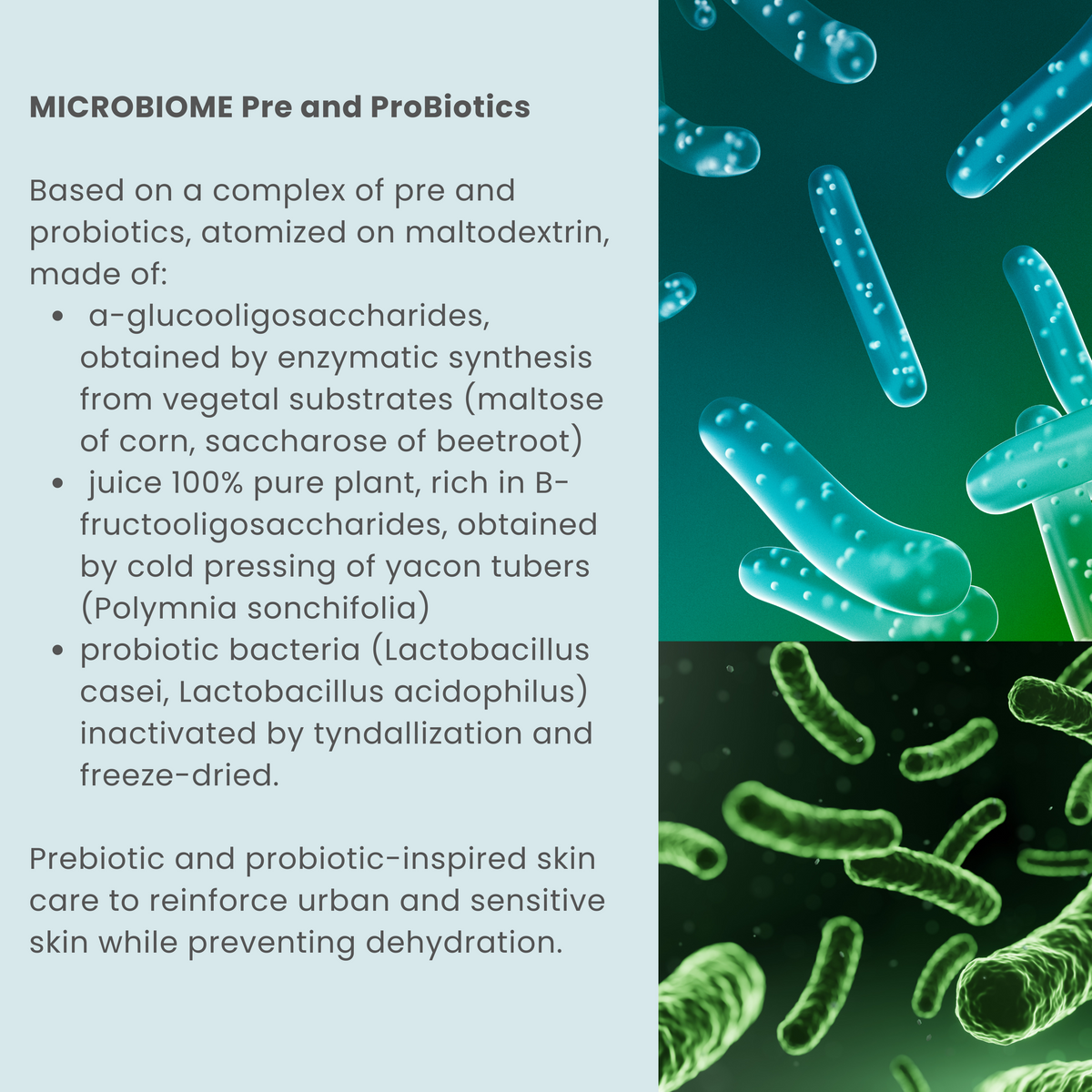 Microbiome  Pre &amp; Probiotic Kombucha Microbubble Facial Wash and Mask DUO