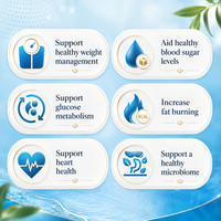 Consult Health Berberine+ with GlucoVantage® advanced highly bioavailable berberine, cinnamon, banaba and chromium nicotinate for daily metabolic, glucose, weight and cardiovascular wellness support.