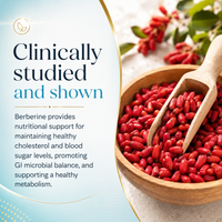Consult Health Berberine+ with GlucoVantage® advanced highly bioavailable berberine, cinnamon, banaba and chromium nicotinate for daily metabolic, glucose, weight and cardiovascular wellness support.