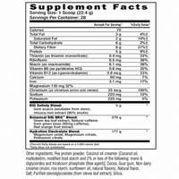 BIG NRG Satiety Shake nutritional meal replacement shake formulated to support fullness, appetite control, and sustained energy.