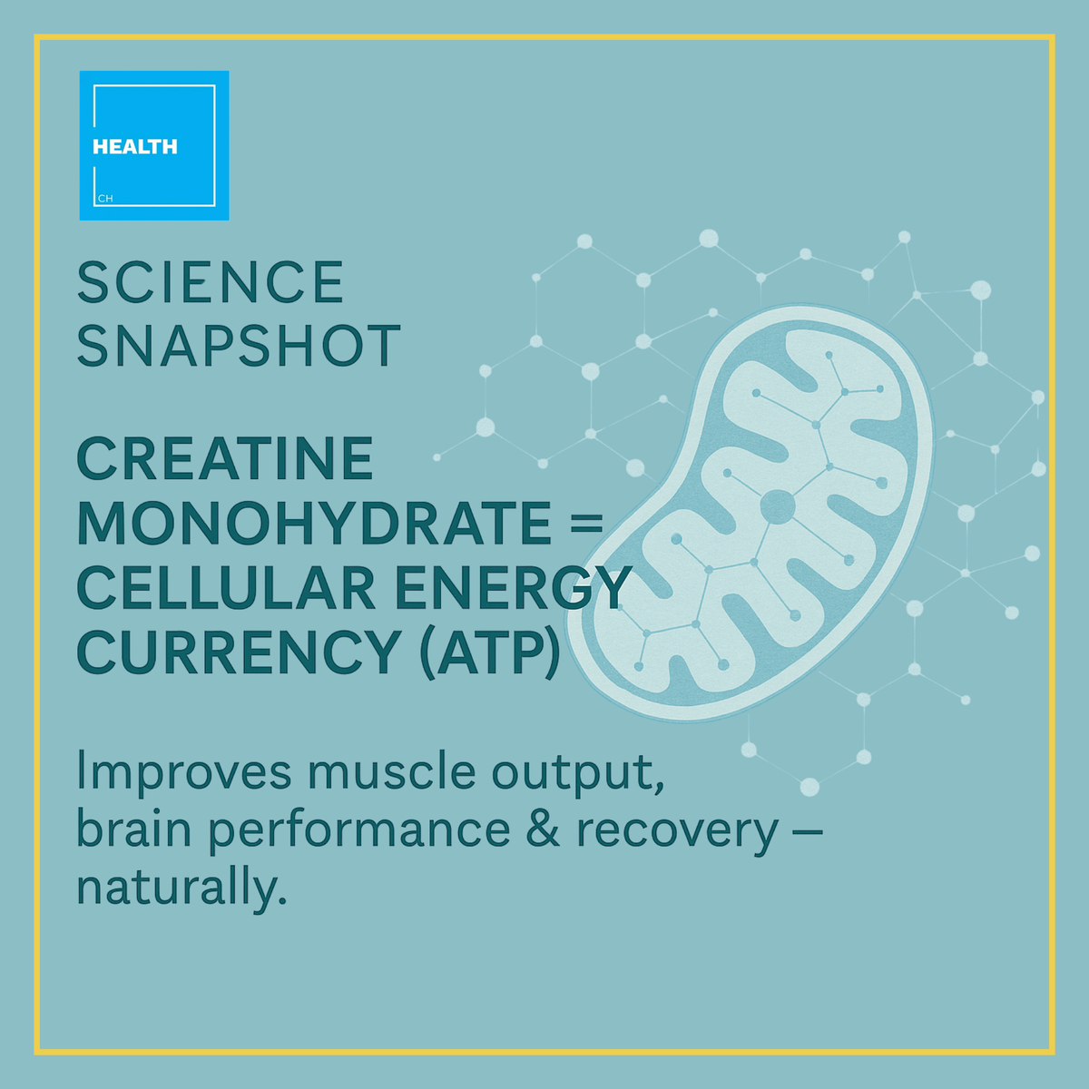 Creovate Creatine Gummies