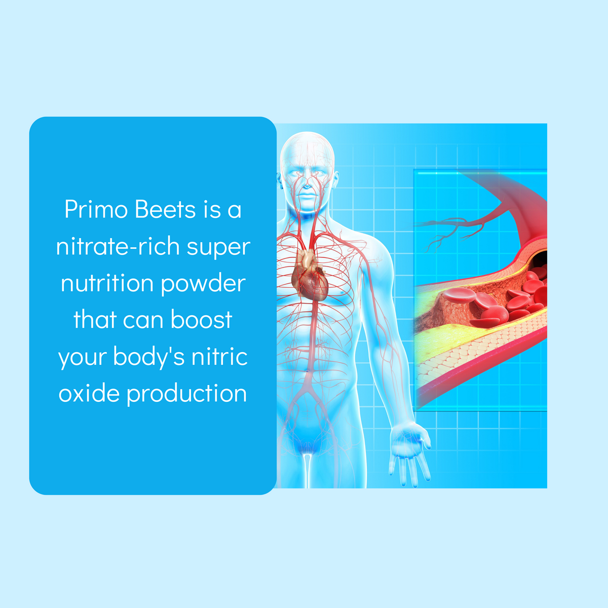 Consult Health Primo Beets Circulation Supplement with beet nutrition and antioxidants to support healthy circulation, blood flow, energy, immune function and everyday wellness.